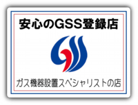 GSS_181102.png